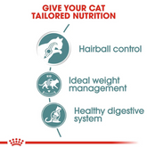 Royal Canin Hairball Care Wet Food